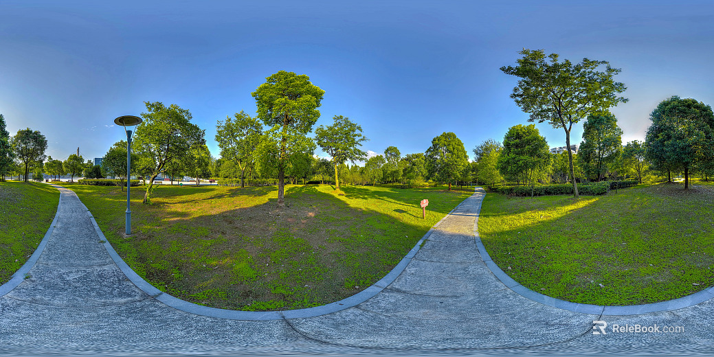 Park Lawn Trait Daytime Sunny Day HDR texture