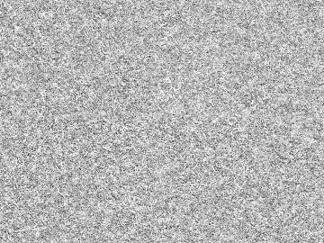 Black and White Bump texture (ID:ffagf3488)