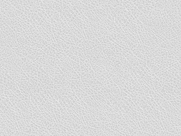 fine grain leather texture (ID:ffaef3501)