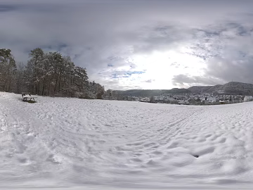 Outdoor Winter Snow Forest HDR texture (ID:ffabg68061)