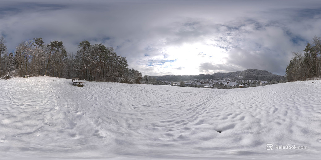Outdoor Winter Snow Forest HDR texture