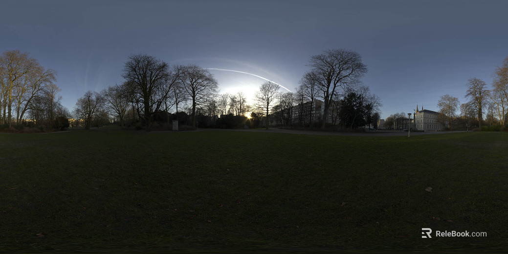 Woods Lawn Meadow Daytime Sunrise HDR texture
