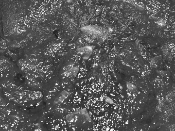 Black and White Bump texture (ID:ffaff6880)