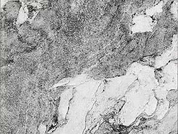 Gray-White Landscape Marble – Material for Walls and Floors texture (ID:ffaeh122296)