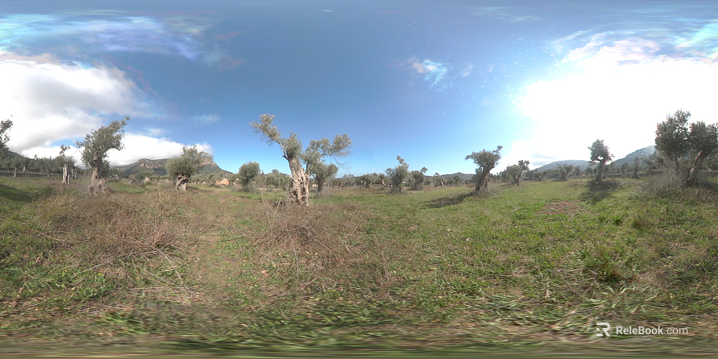 Outdoor Wilderness Daytime Sunny Day HDR texture