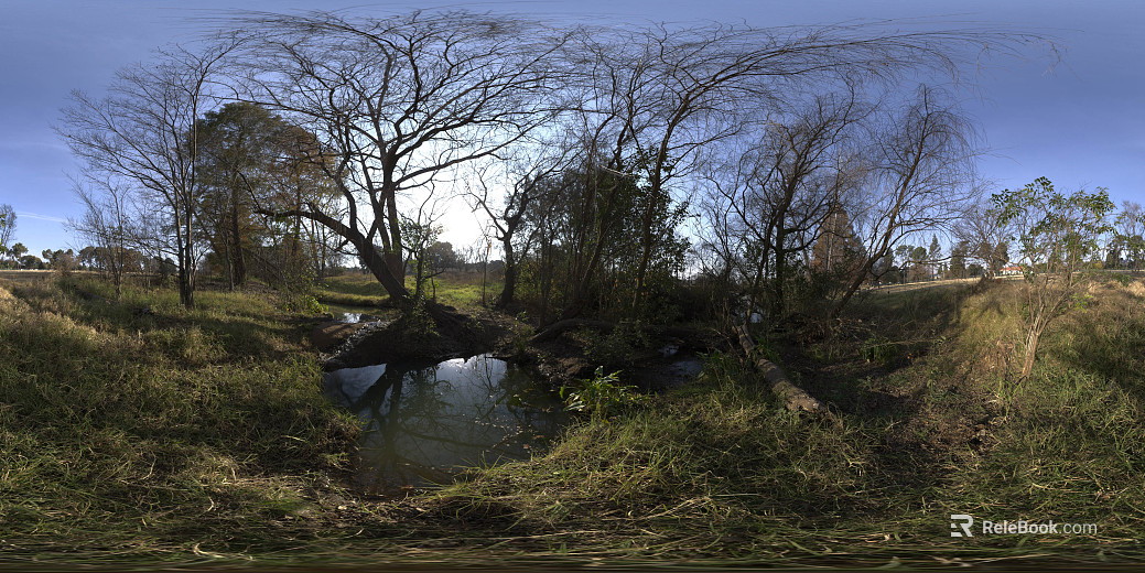 Field Pond Daytime HDR texture