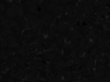 Black terrazzo floor building materials texture (ID:ffaeh394801)