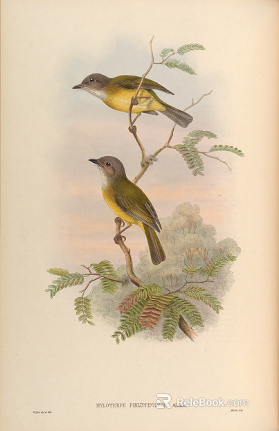 decorative painting texture