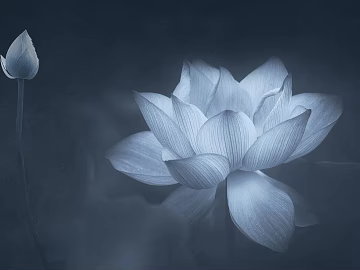 lotus fresco texture (ID:ffach415991)