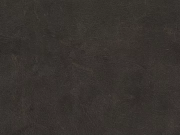 fine grain leather 3d model