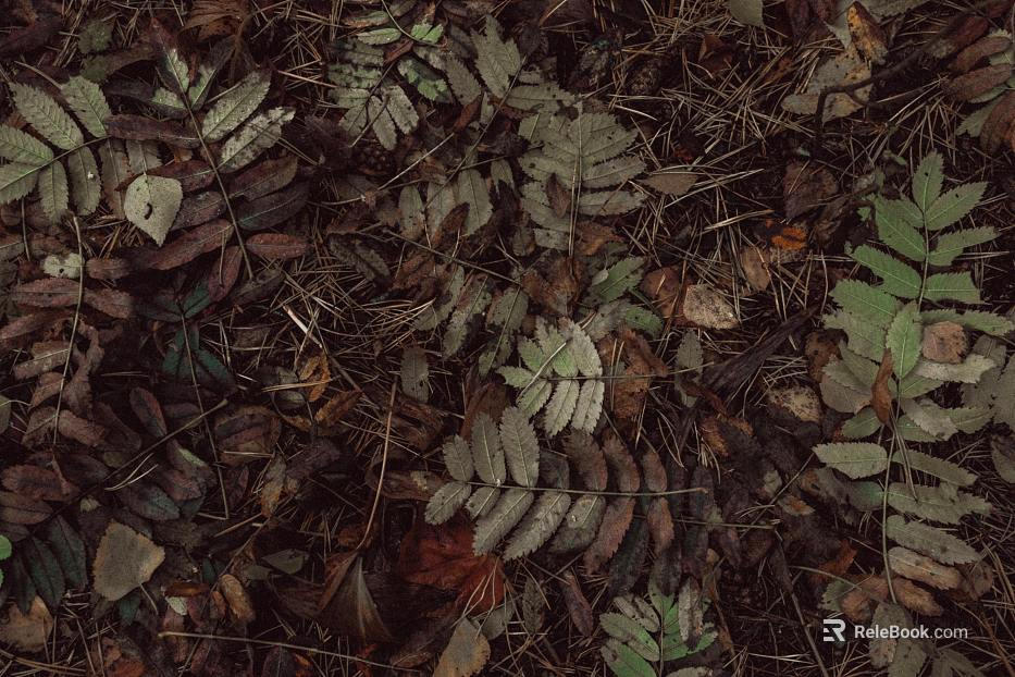 fallen leaves texture