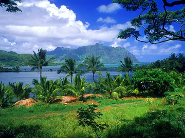 Wild Scenery texture (ID:ffabg42369)