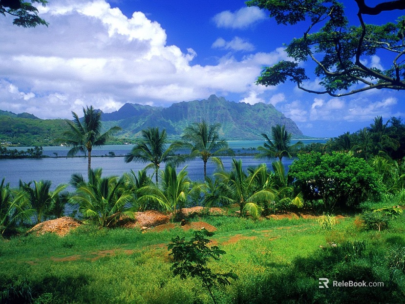 Wild Scenery texture