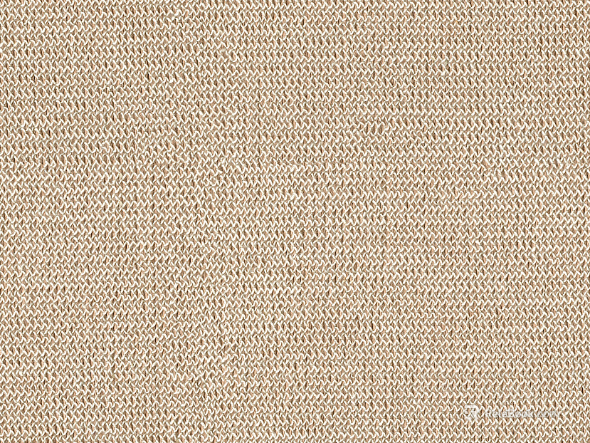 plain cloth texture