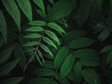 leaves texture (ID:ffagg87333)