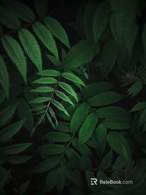 leaves texture