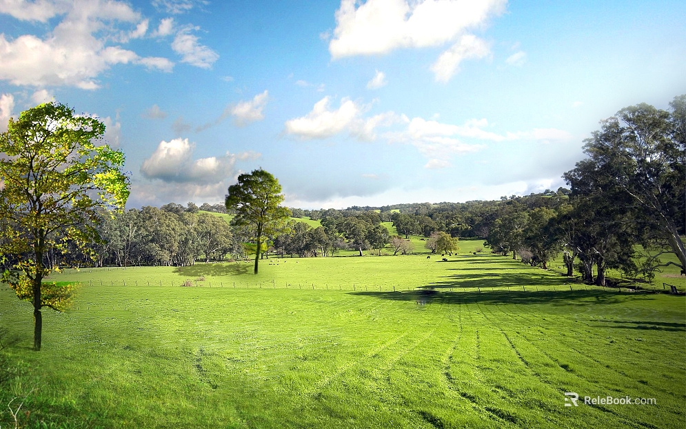 Park Exterior texture