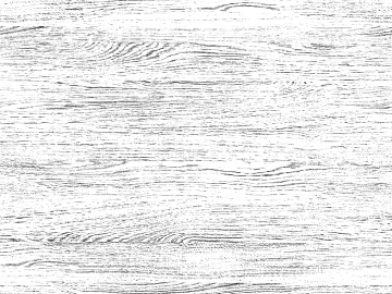 Black and white wood grain texture (ID:ffacg46377)