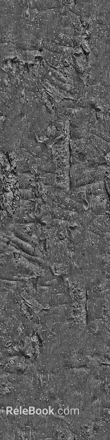 Bark bump texture