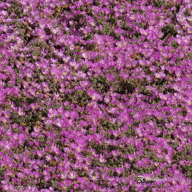 shrub flowers bushes texture