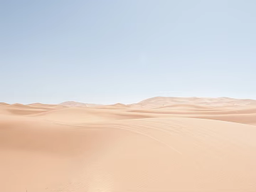 Wild Scenery 3d model