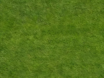 Turf texture (ID:ffach964271)