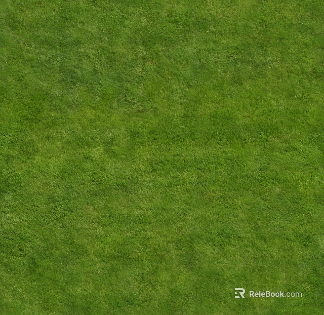 Turf texture