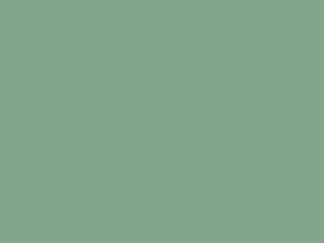 Gray-green matte latex paint interior wall texture (ID:ffaeh529832)