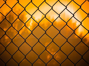 Barbed wire texture (ID:ffagg74385)