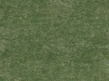 Turf texture (ID:ffagg15259)