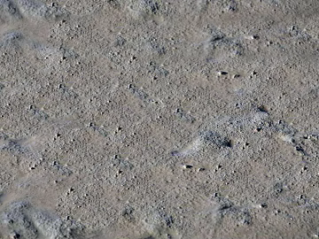 Taupe dirt ground outdoor site texture (ID:ffaeh827371)