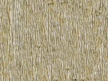 bark texture (ID:ffagg76200)