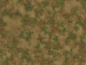 Grassland texture (ID:ffaeg16777)