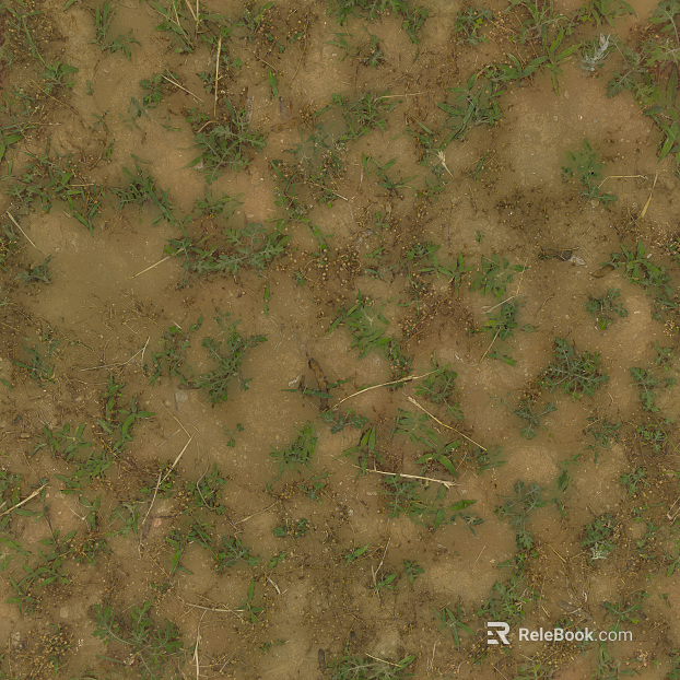 Grassland texture