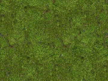 Turf texture (ID:ffach882216)