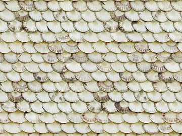 Roof material texture (ID:ffhbe820)
