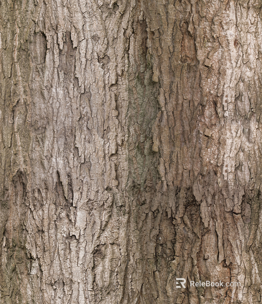 bark texture