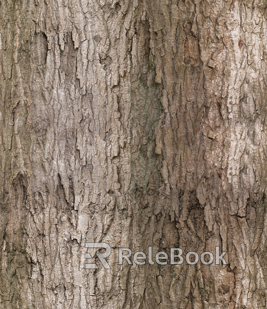 A close-up of weathered, rough tree bark with moss and lichen growth, showcasing nature's intricate texture and pattern.