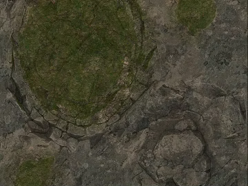 gray green moss rock outdoor ground 3d model