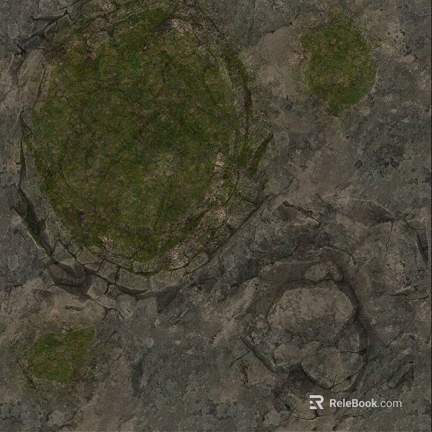 gray green moss rock outdoor ground texture