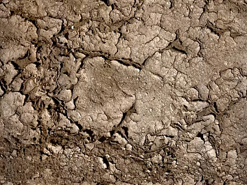 Mud texture (ID:ffagg15693)