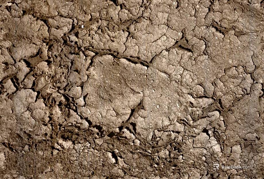 Mud texture