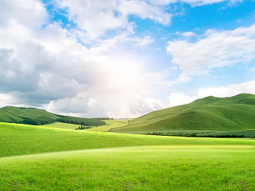 Wild Scenery texture (ID:ffacg61038)