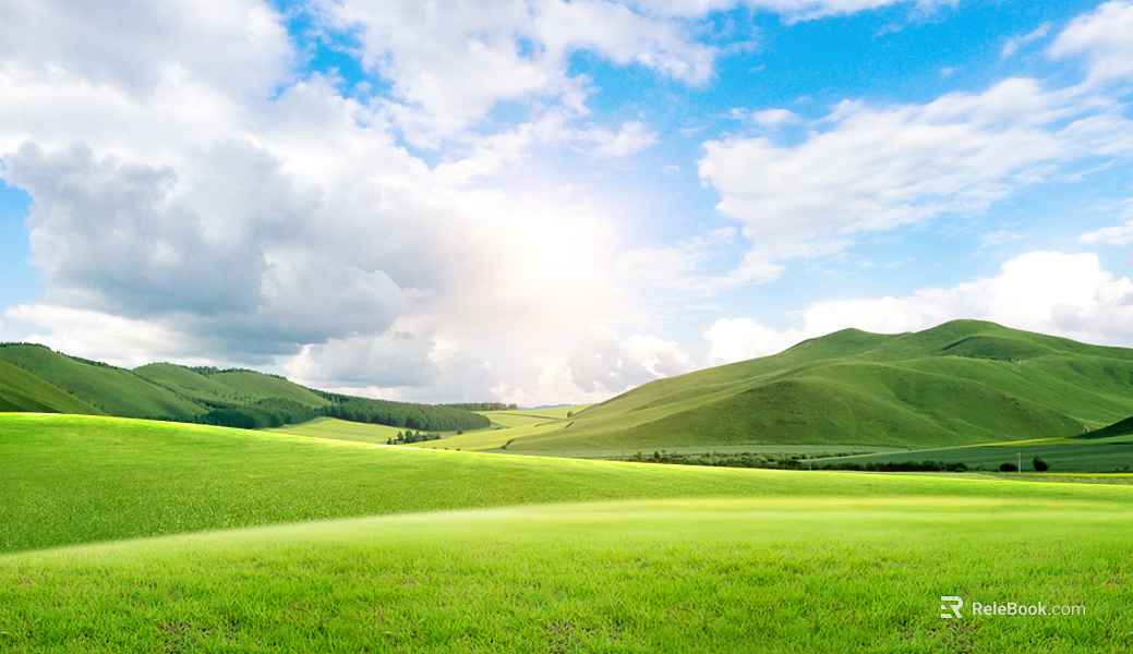 Wild Scenery texture