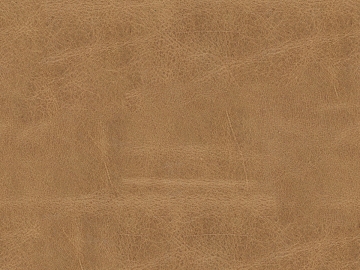 fine grain leather texture (ID:ffaeg12352)