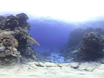 submarine coral reef hdr texture (ID:ffabg83901)