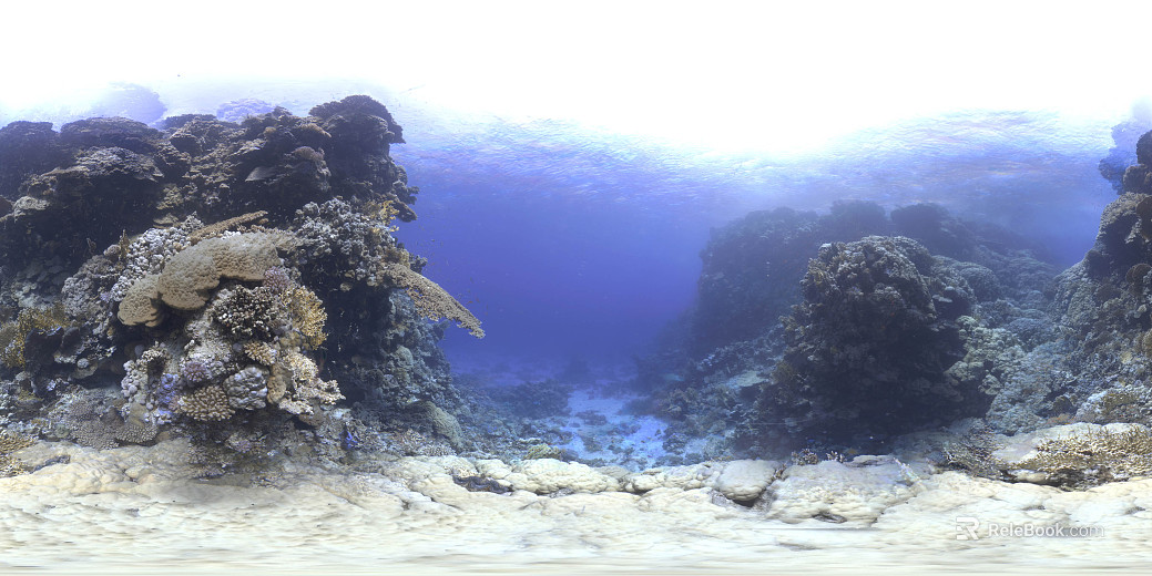 submarine coral reef hdr texture