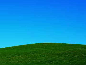 Outdoor Lawn Grass Natural Scenery texture (ID:ffach025288)