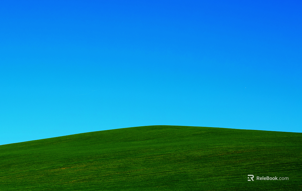 Outdoor Lawn Grass Natural Scenery texture