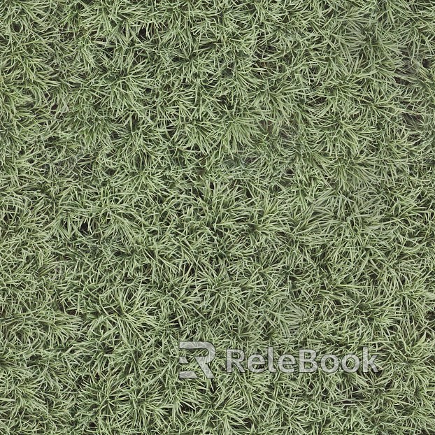 Well-manicured turf ground, vibrant green in color, evenly trimmed, and sprawling across a wide area, ideal for sports or landscaping.